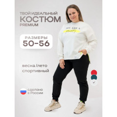 Костюм спортивный Status Большие размеры  свитшот и брюки Цвет: на выбор