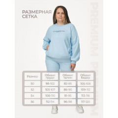 Костюм спортивный Status Большие размеры голубой