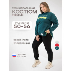 Костюм спортивный Status Большие размеры  свитшот и брюки Цвет: на выбор