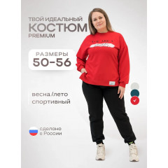 Костюм спортивный Status Большие размеры  свитшот и брюки Цвет: на выбор